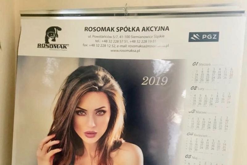 Zdjęcie kalendarza udostępniła posłanka PSL.