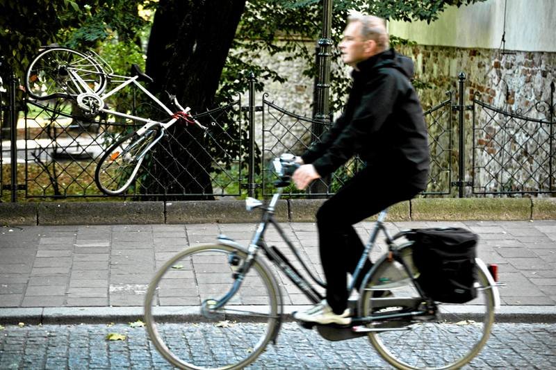 Rower - bohater całego zamieszania