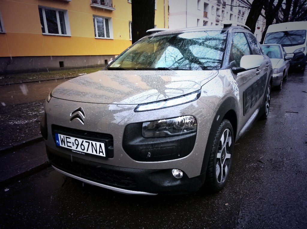 Citroen C4 Cactus Rip Curl