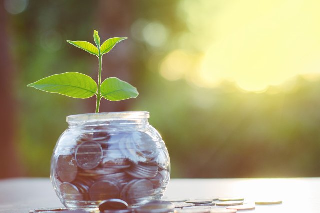 Jak pomnożyć swoje oszczędności?