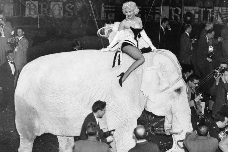 Marilyn i jej wygląd są trudne do podrobienia, choć obok Elvisa ta ikona ma chyba najwięcej naśladowczyń i "sobowtórów".