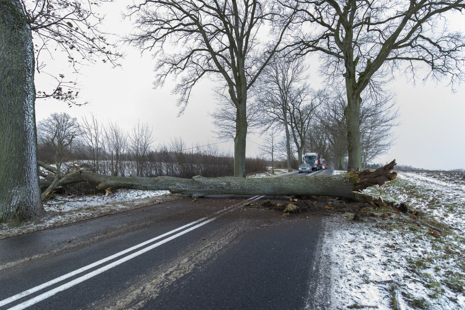 IMGW i RCB ostrzegają przed m.in. silnym wiatrem na północy Polski.