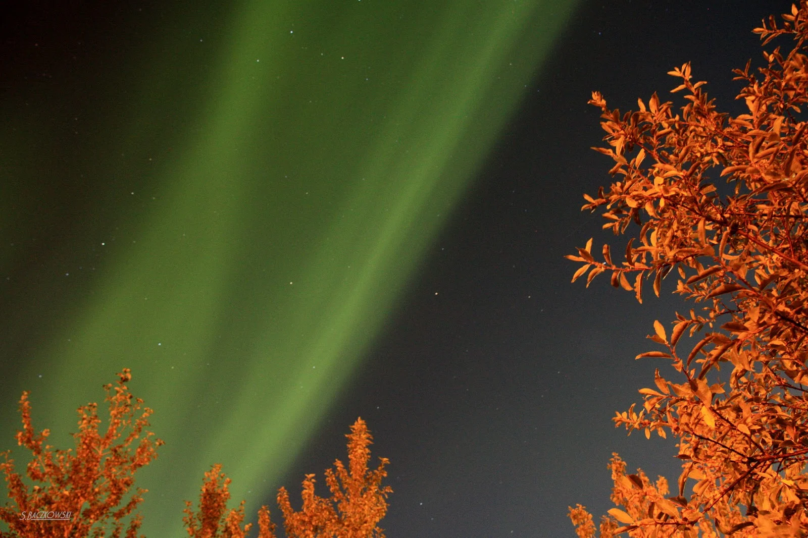 Aurora Borealis nad Islandią