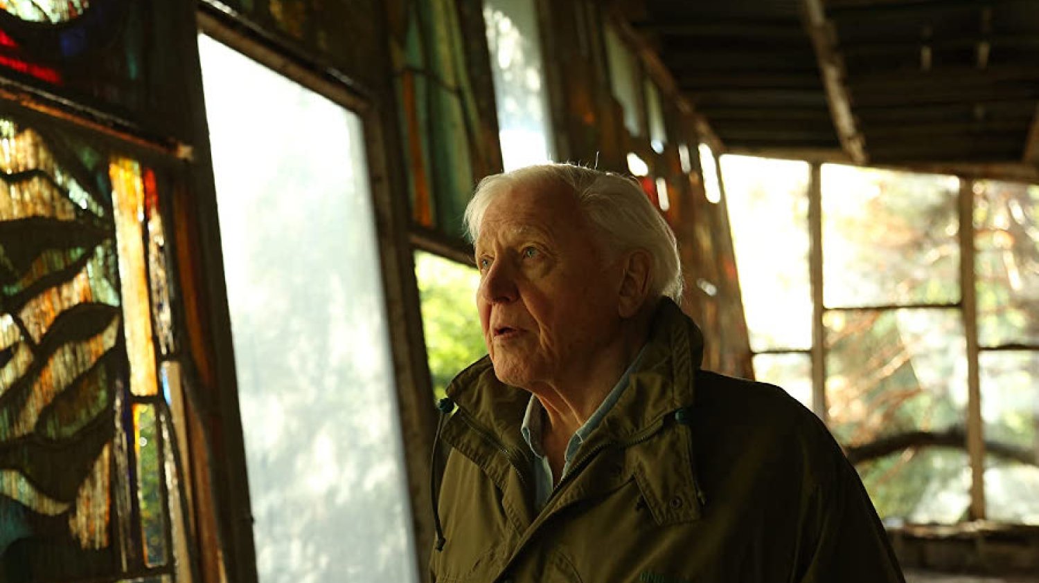 David Attenborough tym razem ostrzega przed katastrofalnymi skutkami kryzysu klimatycznego