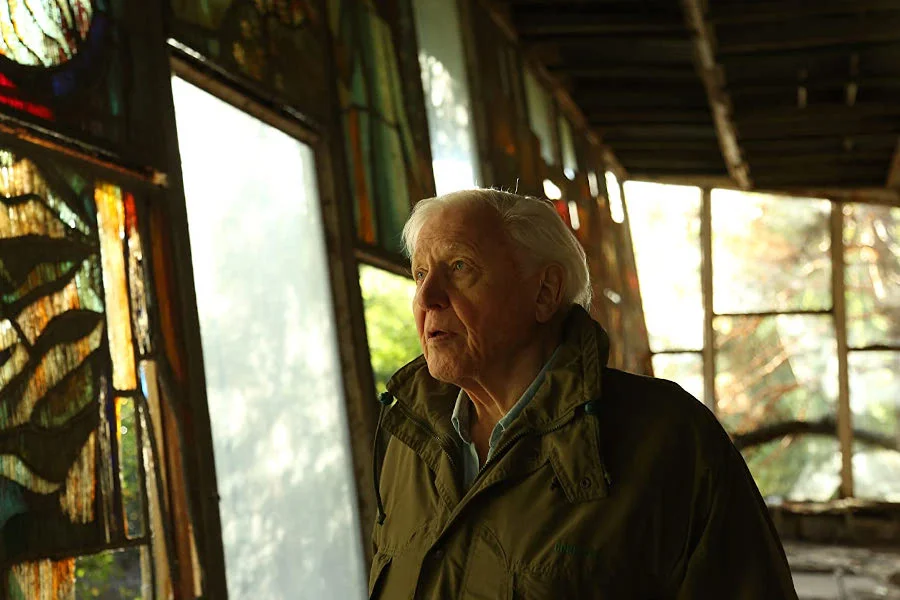 David Attenborough tym razem ostrzega przed katastrofalnymi skutkami kryzysu klimatycznego