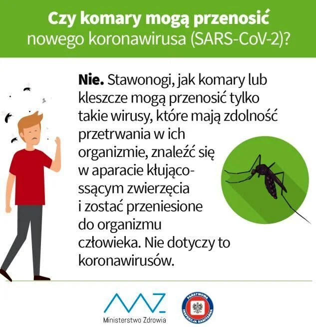 Służby sanitarne wraz z resortem zdrowia potwierdzają, że koronawirusy nie mogą być przenoszone przez komary. Koronawirus a komary. Czy można się zarazić SARS-CoV-2 przez ugryzienie komara?