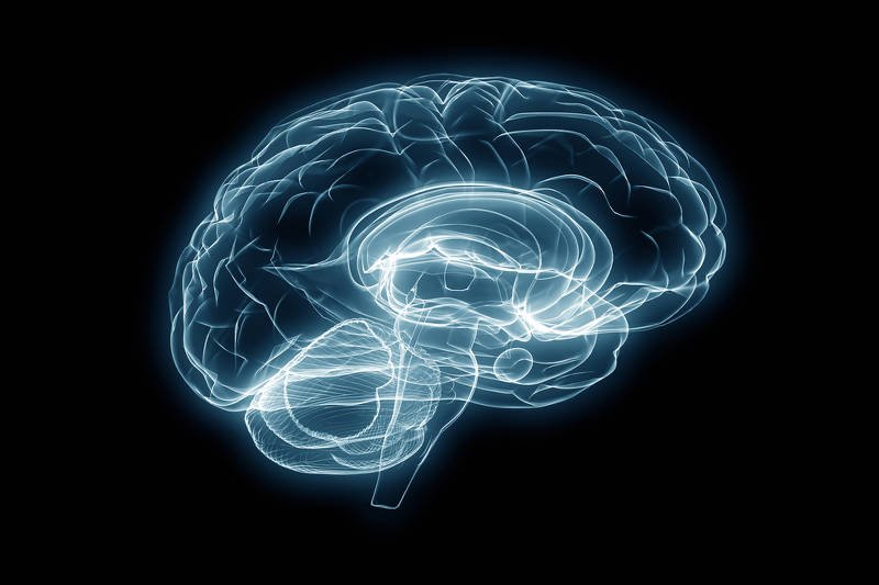 Co robi nasz [url=http://shutr.bz/Qmseo1]mózg[/url], kiedy odpoczywamy?