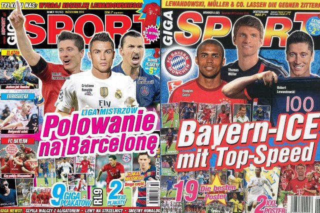 Polak w Niemczech może wydawać najwyżej niszową gazetę hobbystyczną