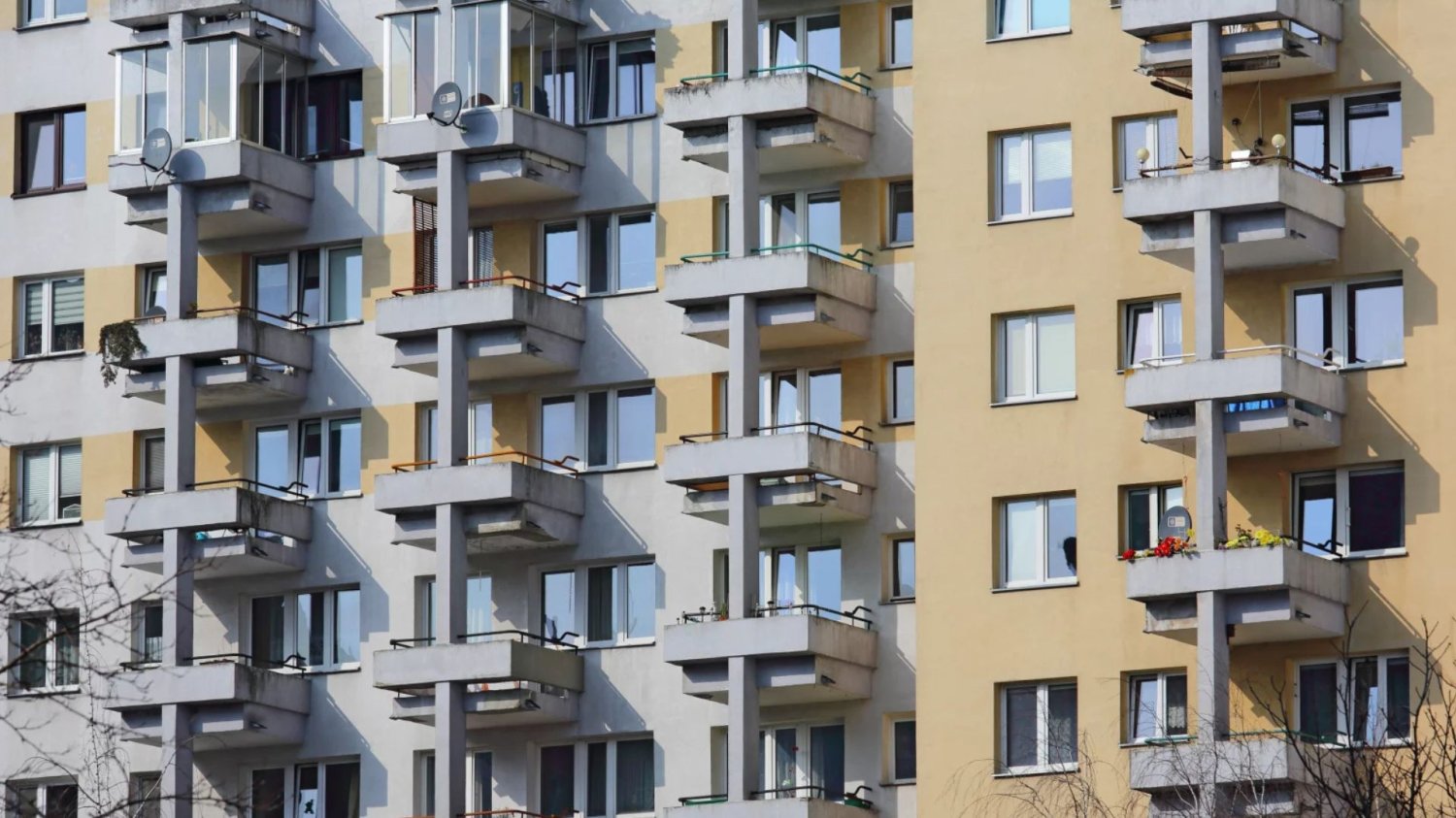 Blok, ekosystem w budynku, zdrowie, alergia
