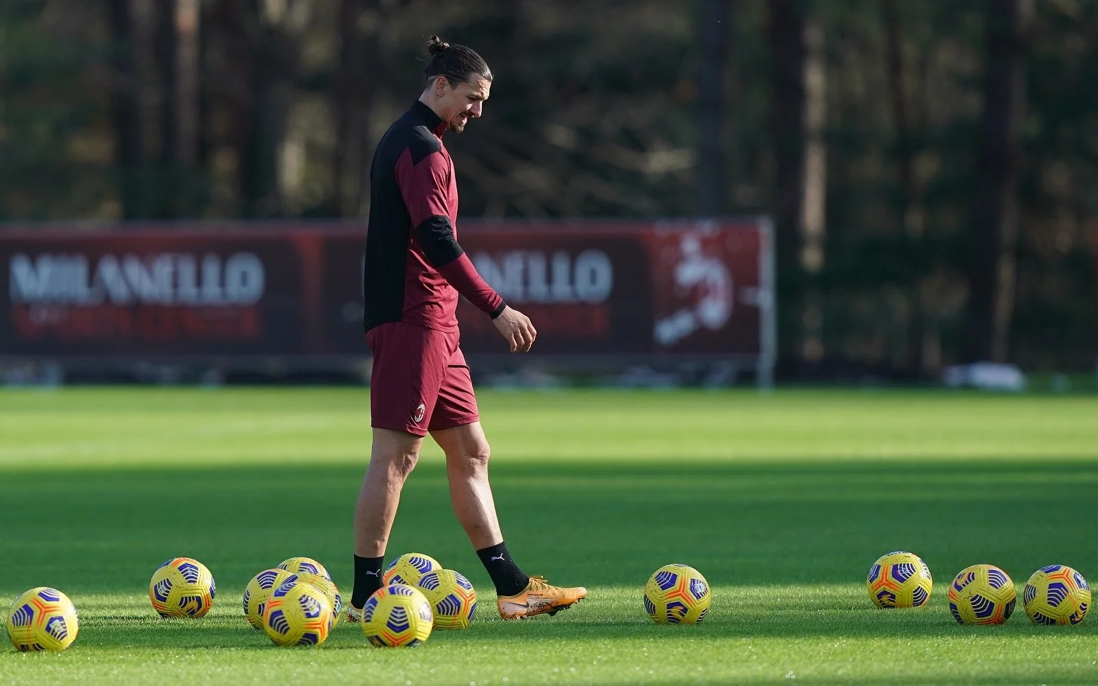 Zlatan Ibrahimovic to prawdziwy człowiek renesansu.