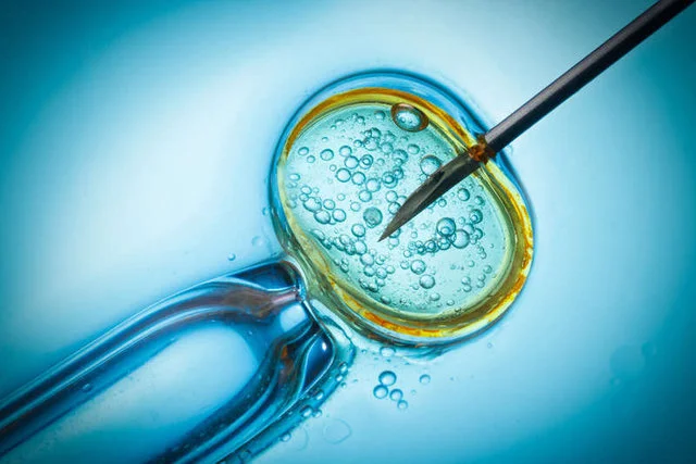Według badań CBOS z 2015 r. poparcie dla dostępu do leczenia in vitro dla małżeństw deklaruje 76 proc. Polaków, a dla nieformalnych par heteroseksualnych 62 proc. Polaków.