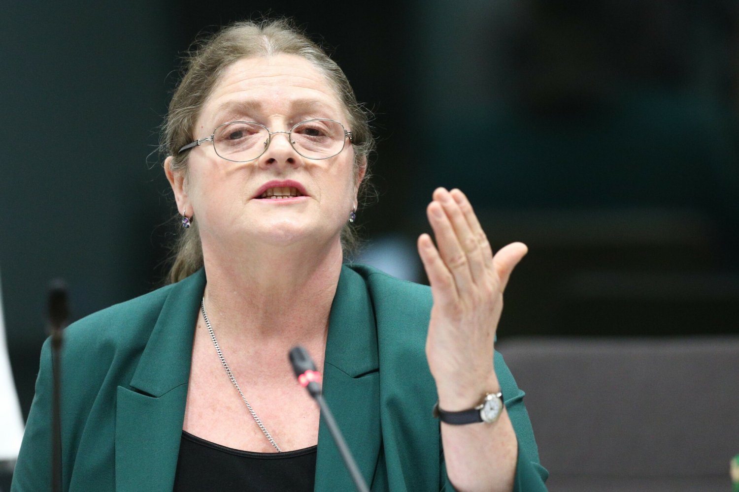 Krystyna Pawłowicz boi się, że Unia Europejska przeforsuje Niemca na urząd prezydenta RP.