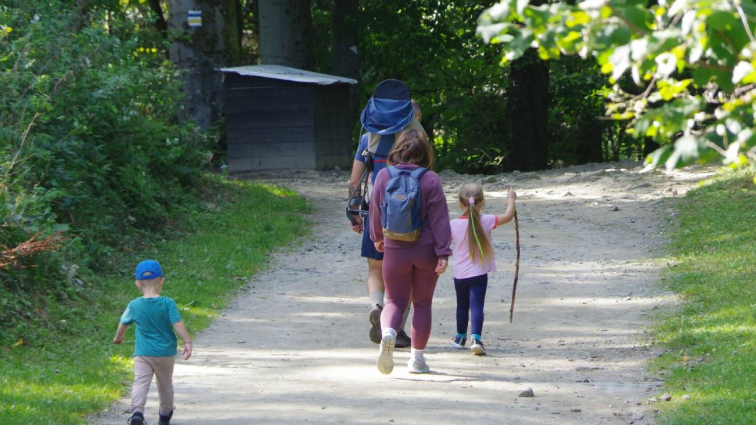 Pieniądze na dziecko – nawet 15 tys. złotych. Wniosek dla IKR Junior