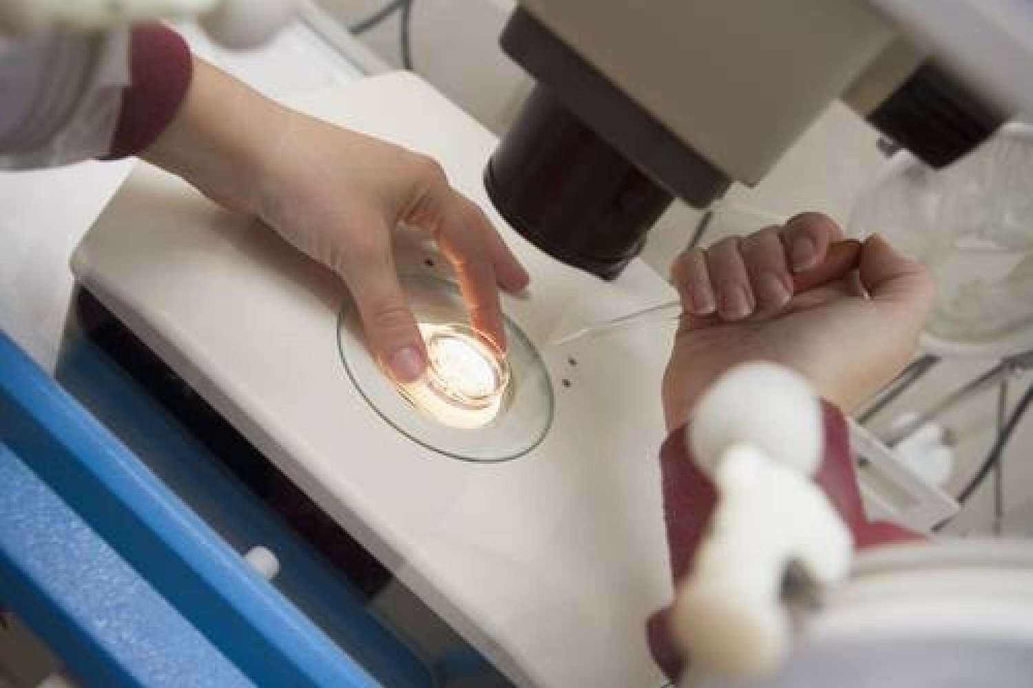 Polacy wskazali, co sądzą o refundacji in vitro.