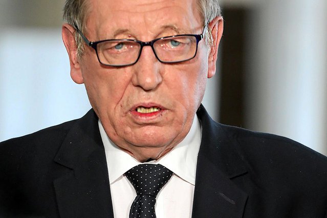 Zegar zaczyna tykać. Szykują się kary za każdy dzień wycinki drzew w Puszczy Białowieskiej.