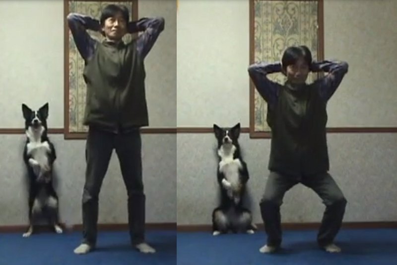 Czasem do ćwiczeń zmotywować mogą nas... zwierzęta.