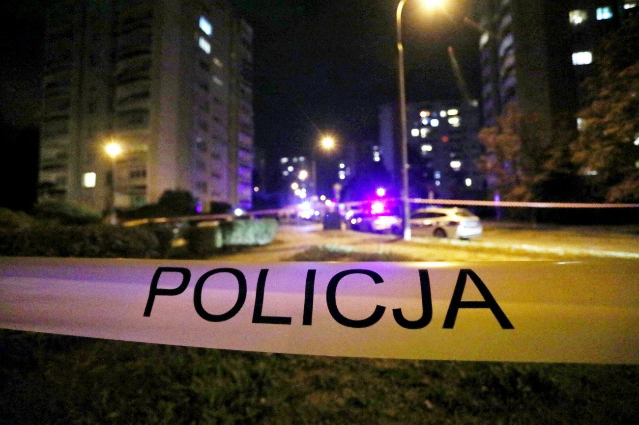 Zdjęcie jest ilustracja do treści.