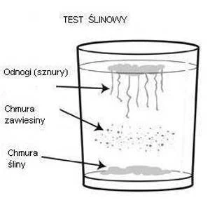 Test ślinowy na obecność Candidy