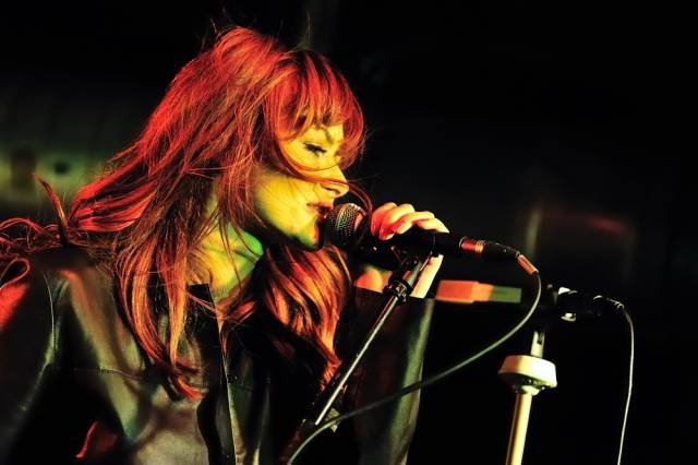 Ania Rusowicz na koncercie w 2014 roku