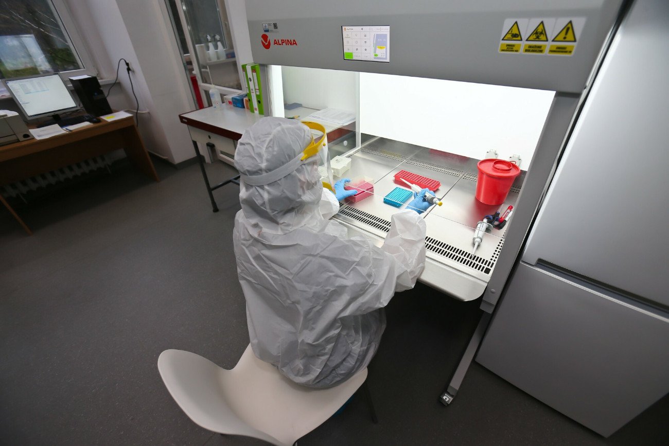 Wstępne testy przeprowadzone po śmierci co najmniej dziewięciu osób w zachodniej prowincji Kie Ntem w Gwinei Równikowej w Afryce potwierdziły, że przyczyną była gorączka krwotoczna po zakażeniu wirusem Marburg.