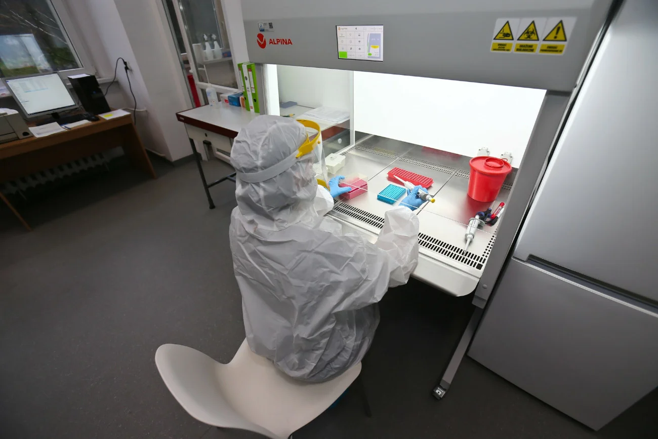 Wstępne testy przeprowadzone po śmierci co najmniej dziewięciu osób w zachodniej prowincji Kie Ntem w Gwinei Równikowej w Afryce potwierdziły, że przyczyną była gorączka krwotoczna po zakażeniu wirusem Marburg.