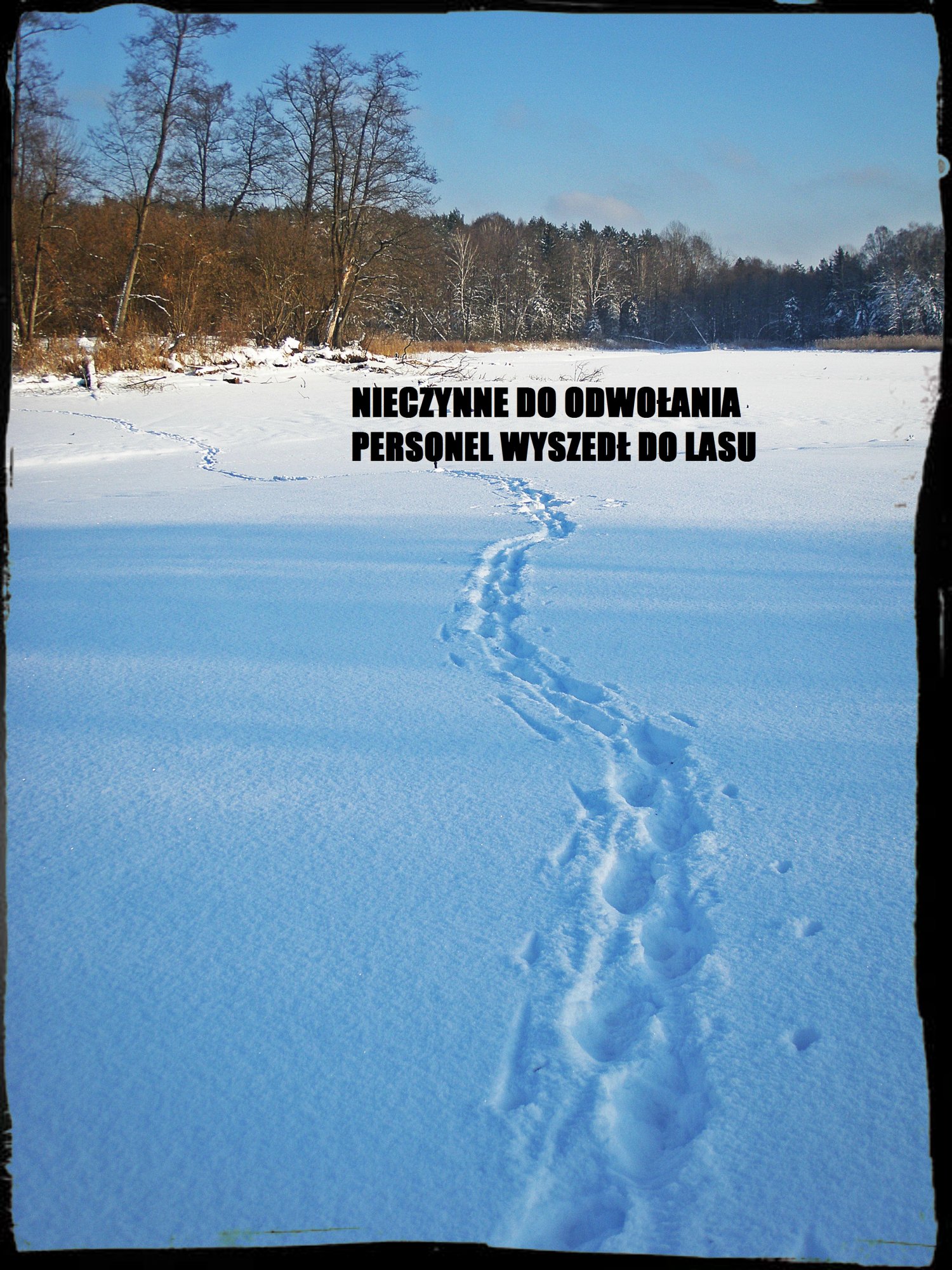 Informacja o wirtualnej nieobecności ;-)