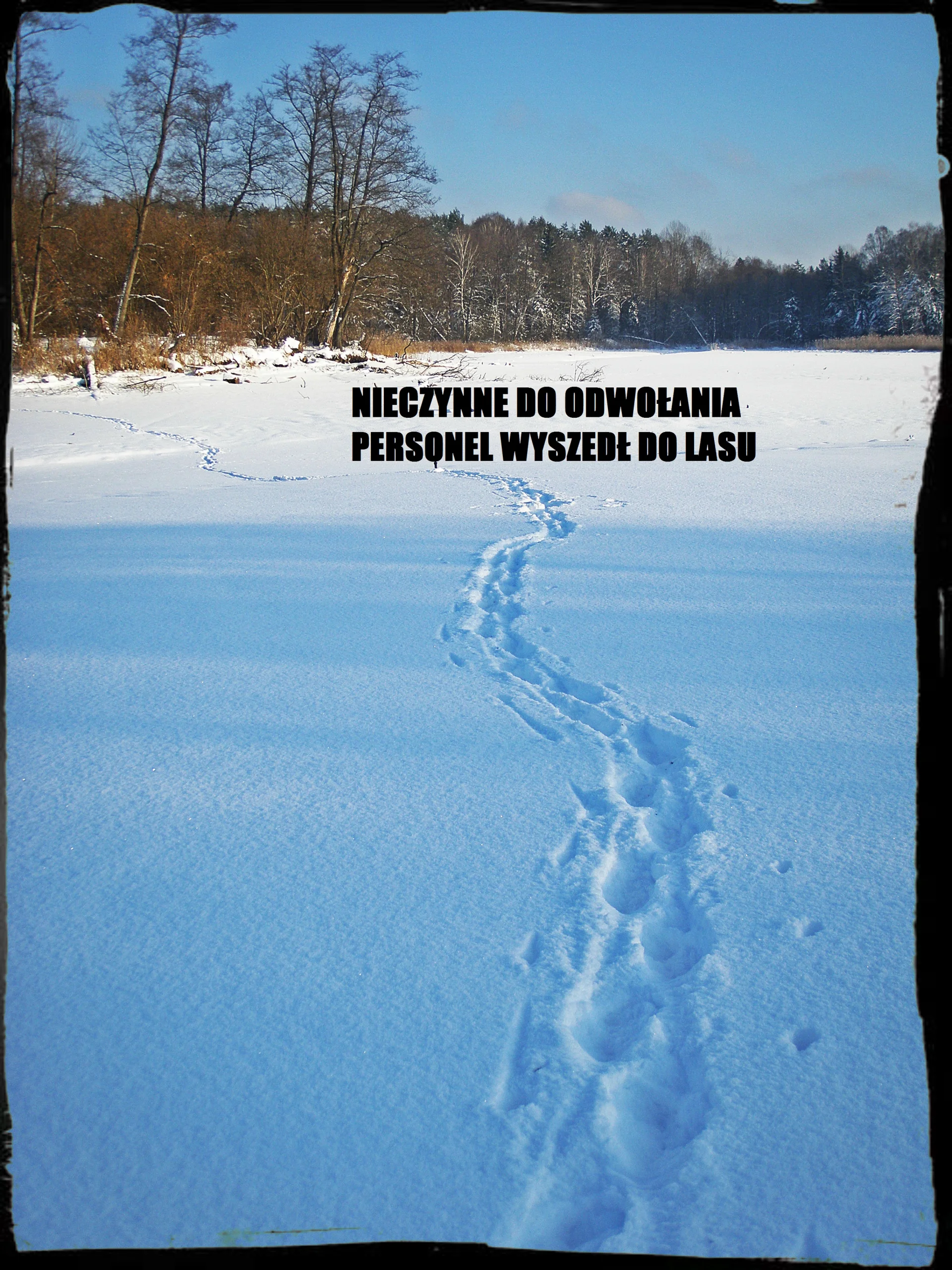Informacja o wirtualnej nieobecności ;-)