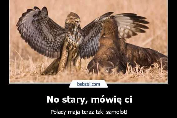 Przegląd memów o Dreamlinerze.
