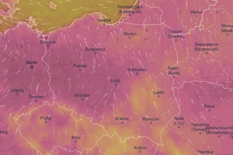 Trzy województwa otrzymały alerty dot. upałów.