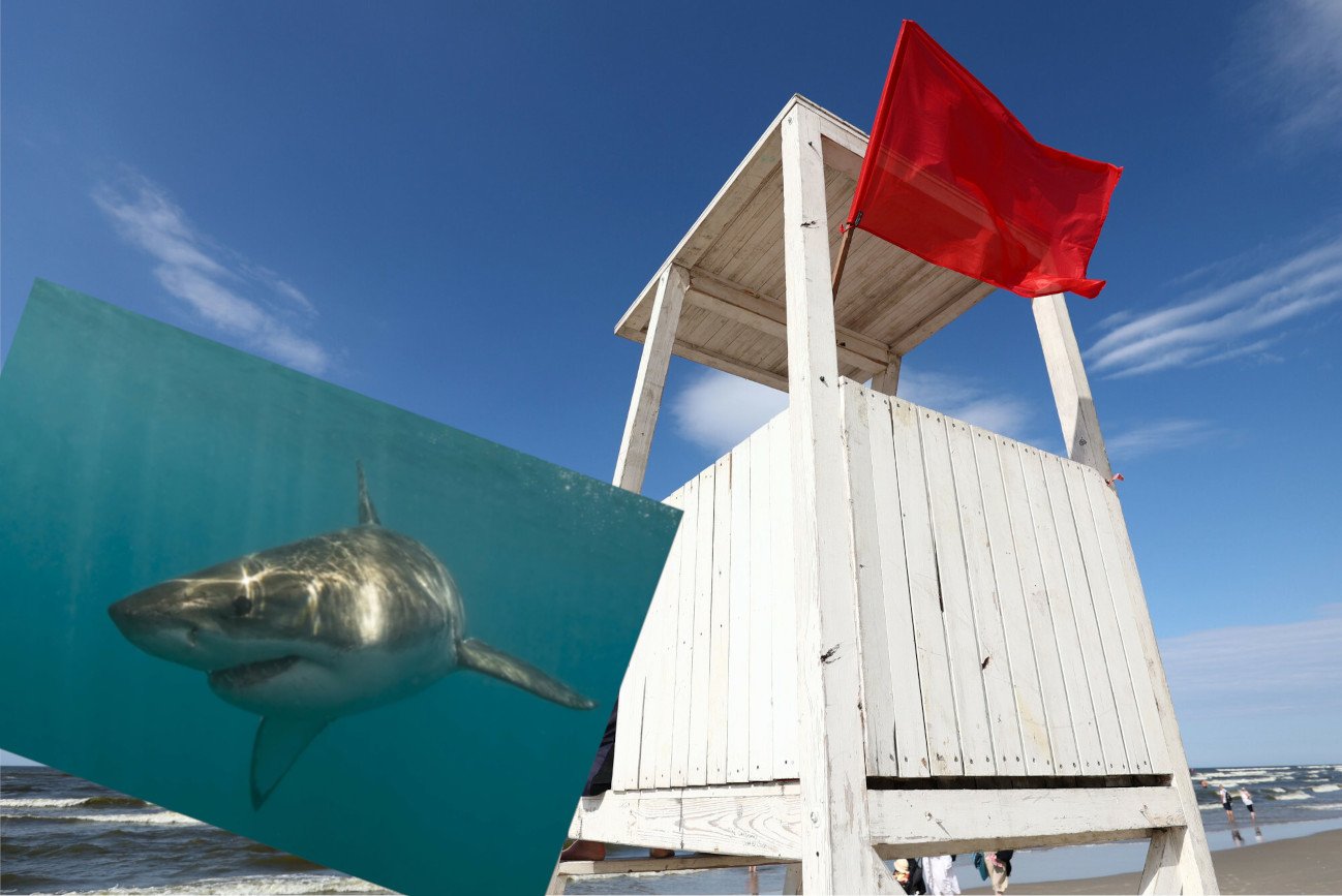 Zdjęcie ilustracyjne