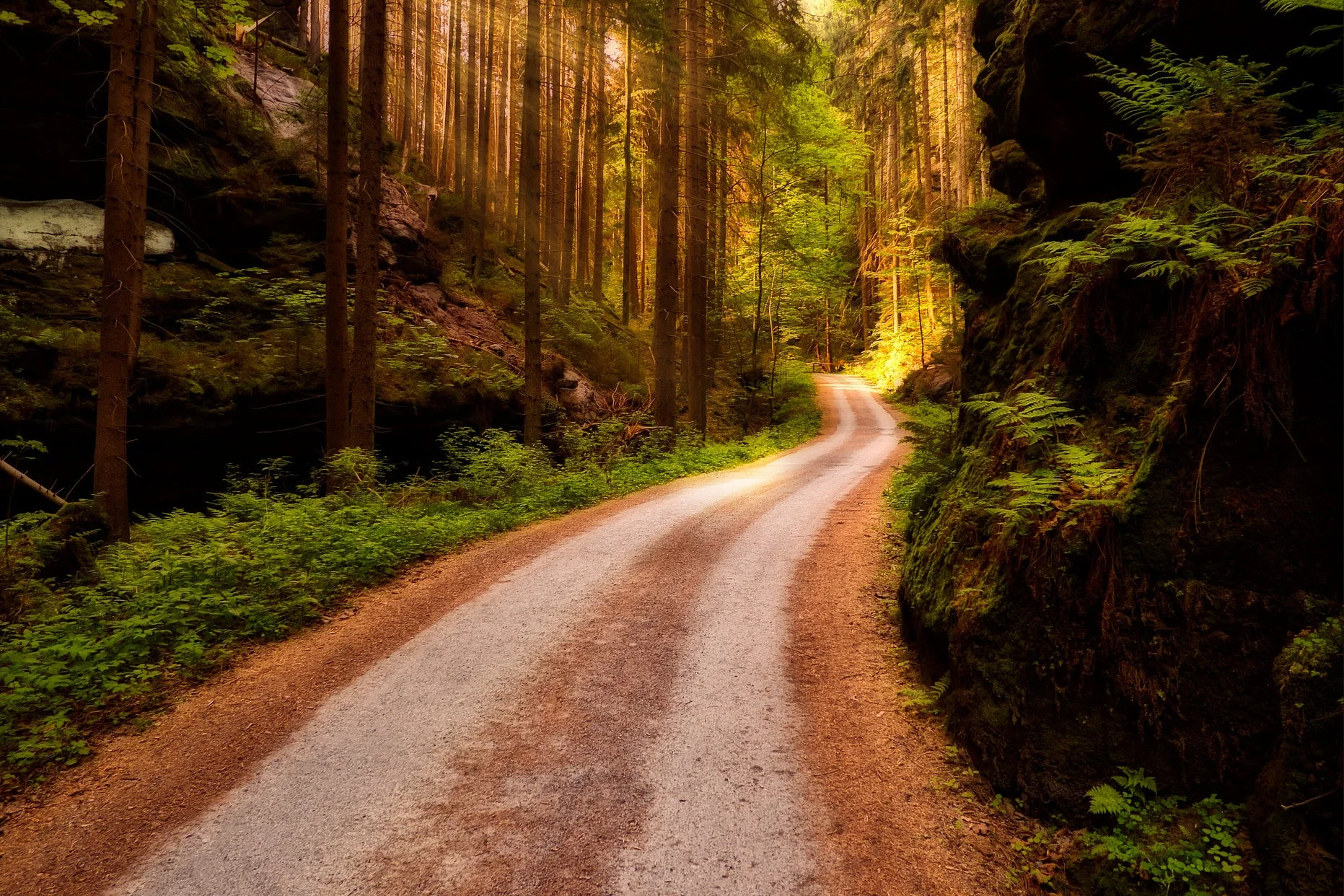 Dla wielu z nas natura stała się luksusem, a nie potrzebą. Jak dowodzi książka ''Natura leczy'' nawet jej niewielka dawka może mieć zbawienny wpływ na nasze zdrowie, a także stać się kluczowym składnikiem czegoś, co nazywamy szczęściem