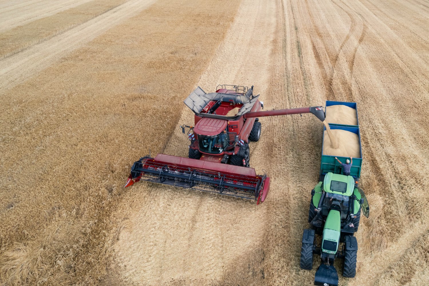 Prokuratura w Zamościu wszczęła śledztwo ws. oszustwa przy sprzedaży zboża z Ukrainy.