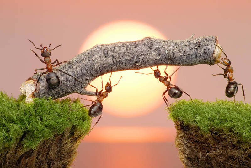 Co musisz zrobić, żeby dostać pracę?