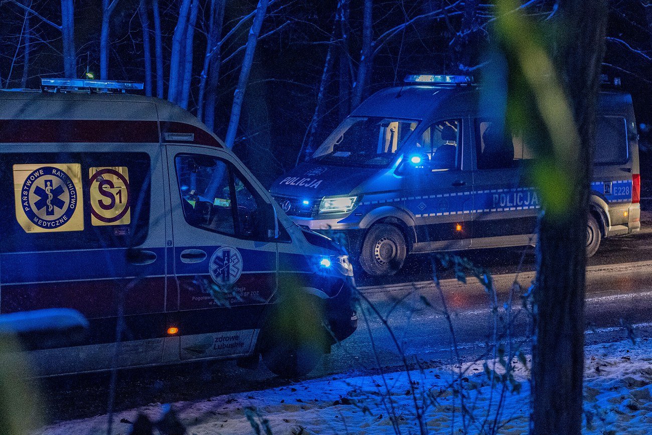 Policja i inne służby w akcji.