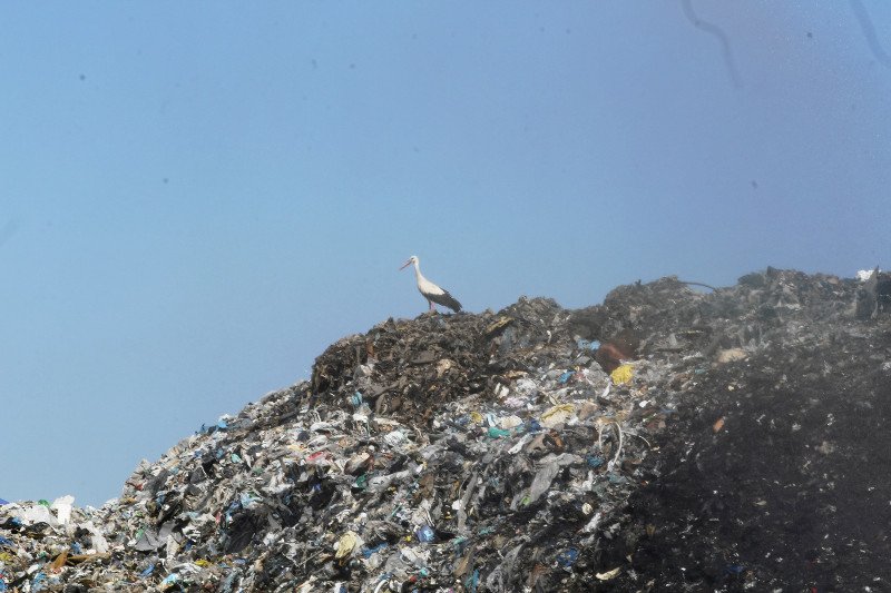 Do Polski trafiają już śmieci nawet z Australii i Nigerii.