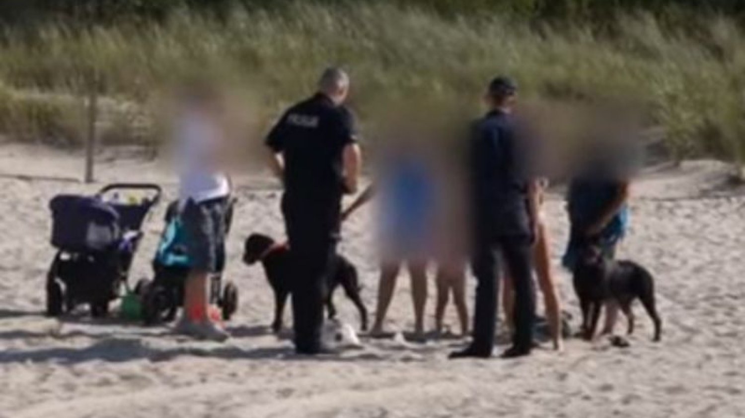 Dziecko pogryzione przez psa na plaży
