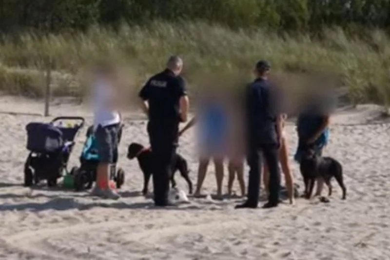 Dziecko pogryzione przez psa na plaży