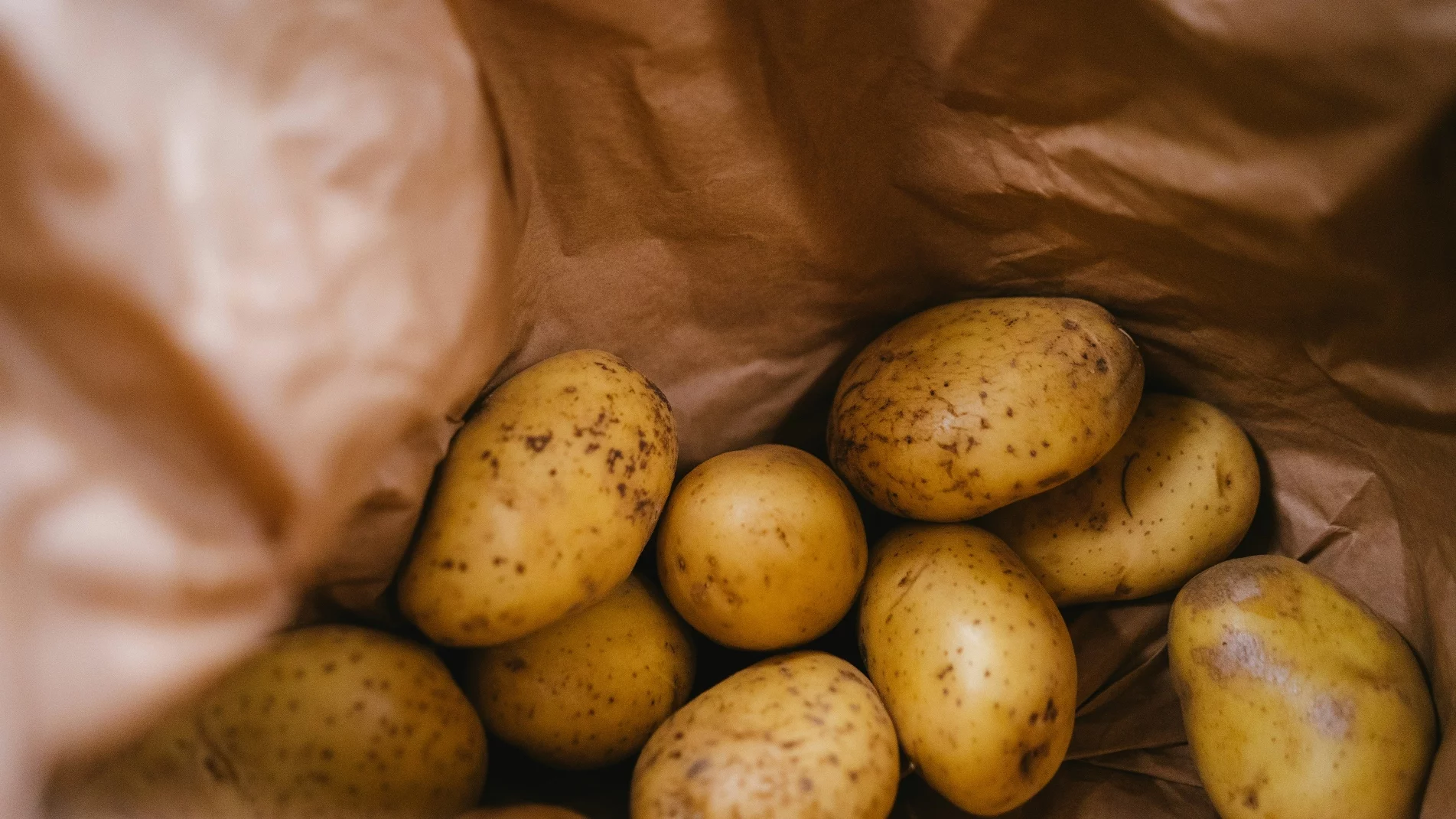 Niespodziewany problem polskich rolników. Narzekają na klęskę urodzaju tego warzywa