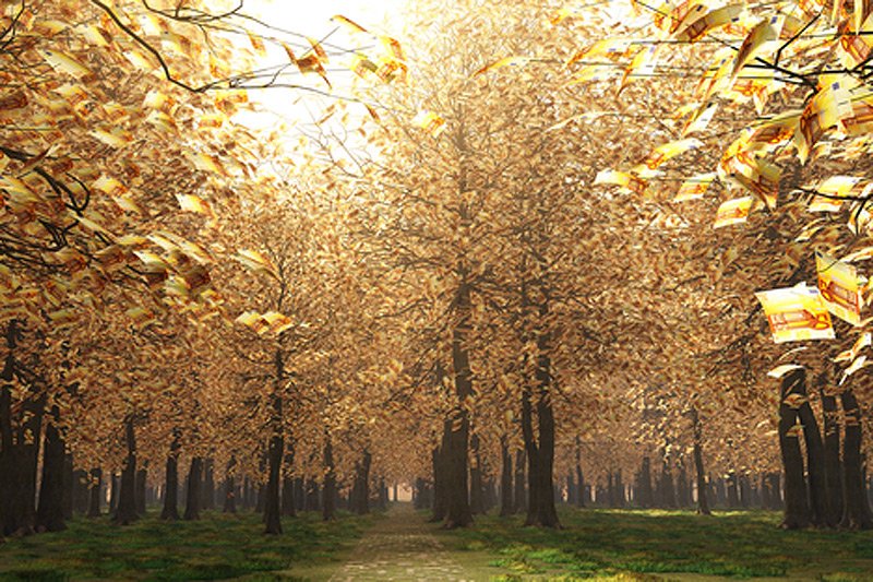 Mniej więcej taki widok zastali Niemcy spacerujący po polu namiotowym w miasteczku Mirow...