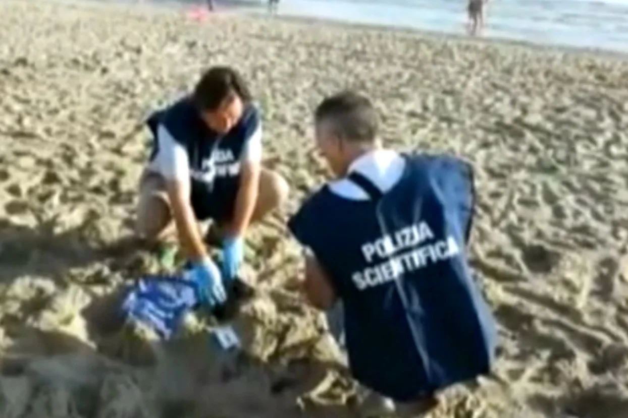 Służby pojawiły się na plaży już z samego rana.
