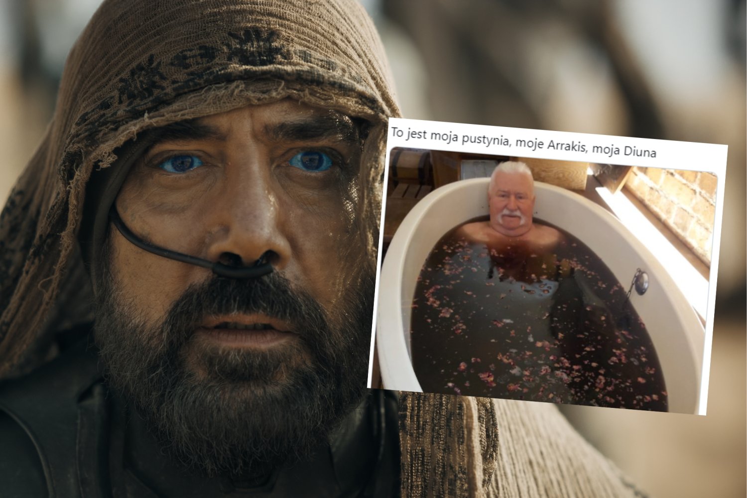 15 najlepszych memów z filmu "Diuna: Część 2" (LISTA)