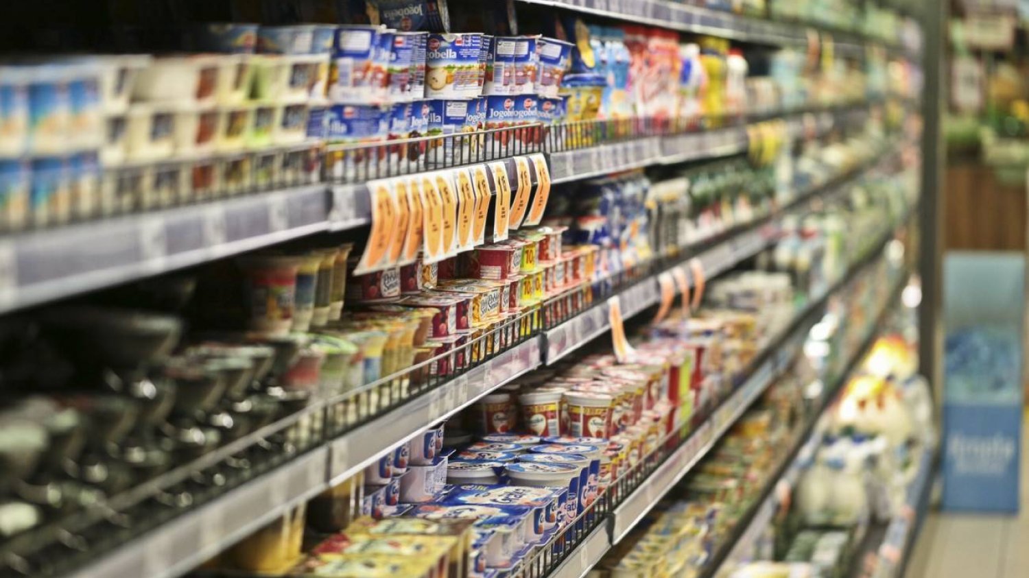 Nowy hit z Biedronki? Znany dietetyk wybrał najzdrowszy jogurt na półkach To najlepszy jogurt z Biedronki. Dietetyk nie ma wątpliwości
