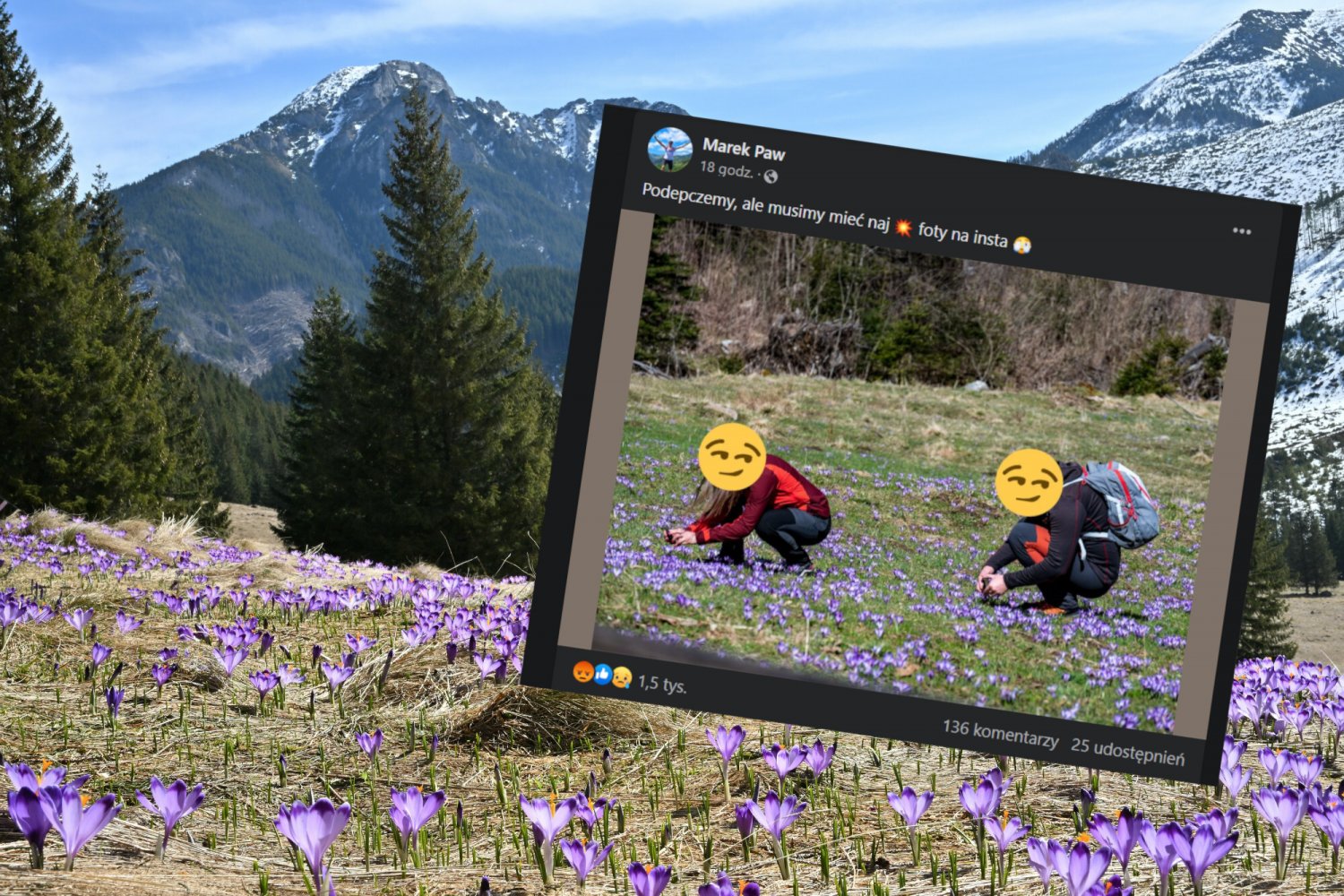 Zdjęcie turystów z Doliny Chochołowskiej oburzyło internautów.