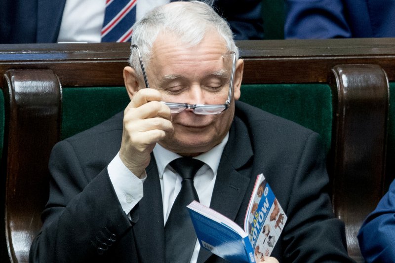 Przyjrzano się osobowości prezesa PiS, biorąc pod uwagę, że najbardziej kocha koty