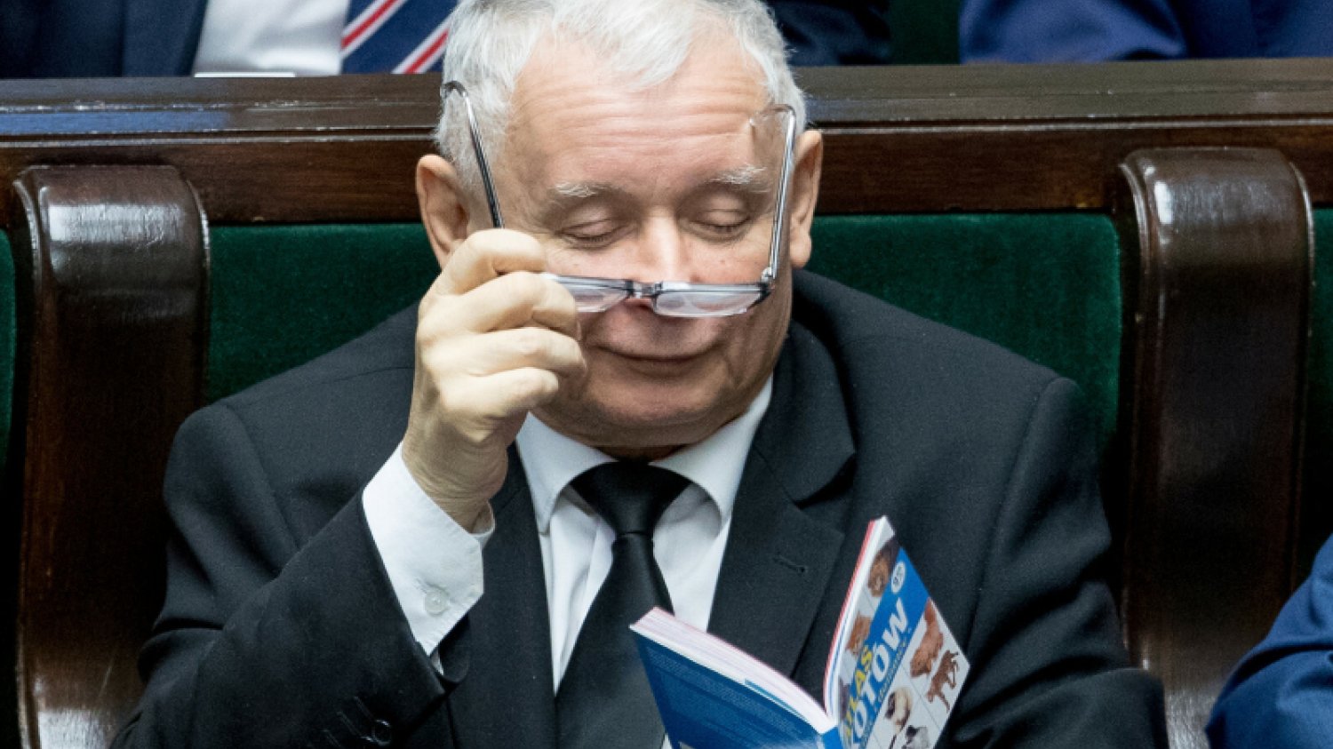Przyjrzano się osobowości prezesa PiS, biorąc pod uwagę, że najbardziej kocha koty