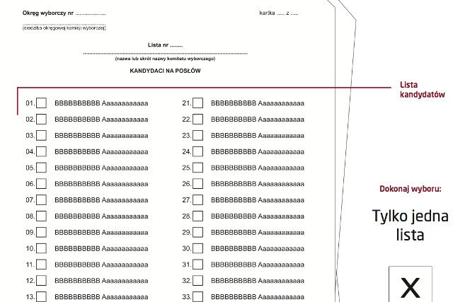 Fragment instrukcji wyborczej PKW