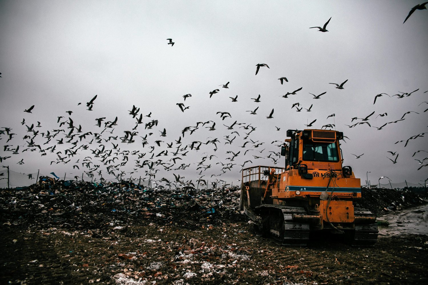 Ciało noworodka znaleziono w zakładzie utylizacyjnym w Łężycach k. Gdyni.