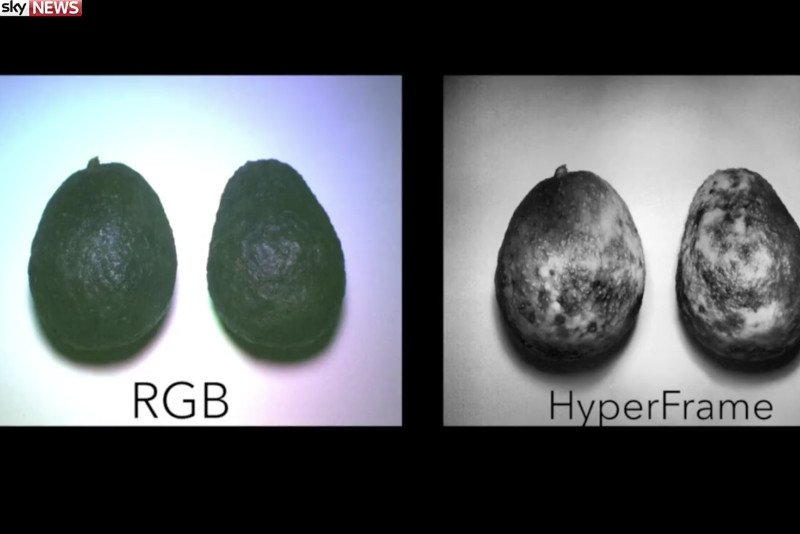 HyperCam pozwoli nam zobaczyć co jest pod skórką ulubionych owoców. Czy są wystarczająco dojrzały, aby móc je już jeść.