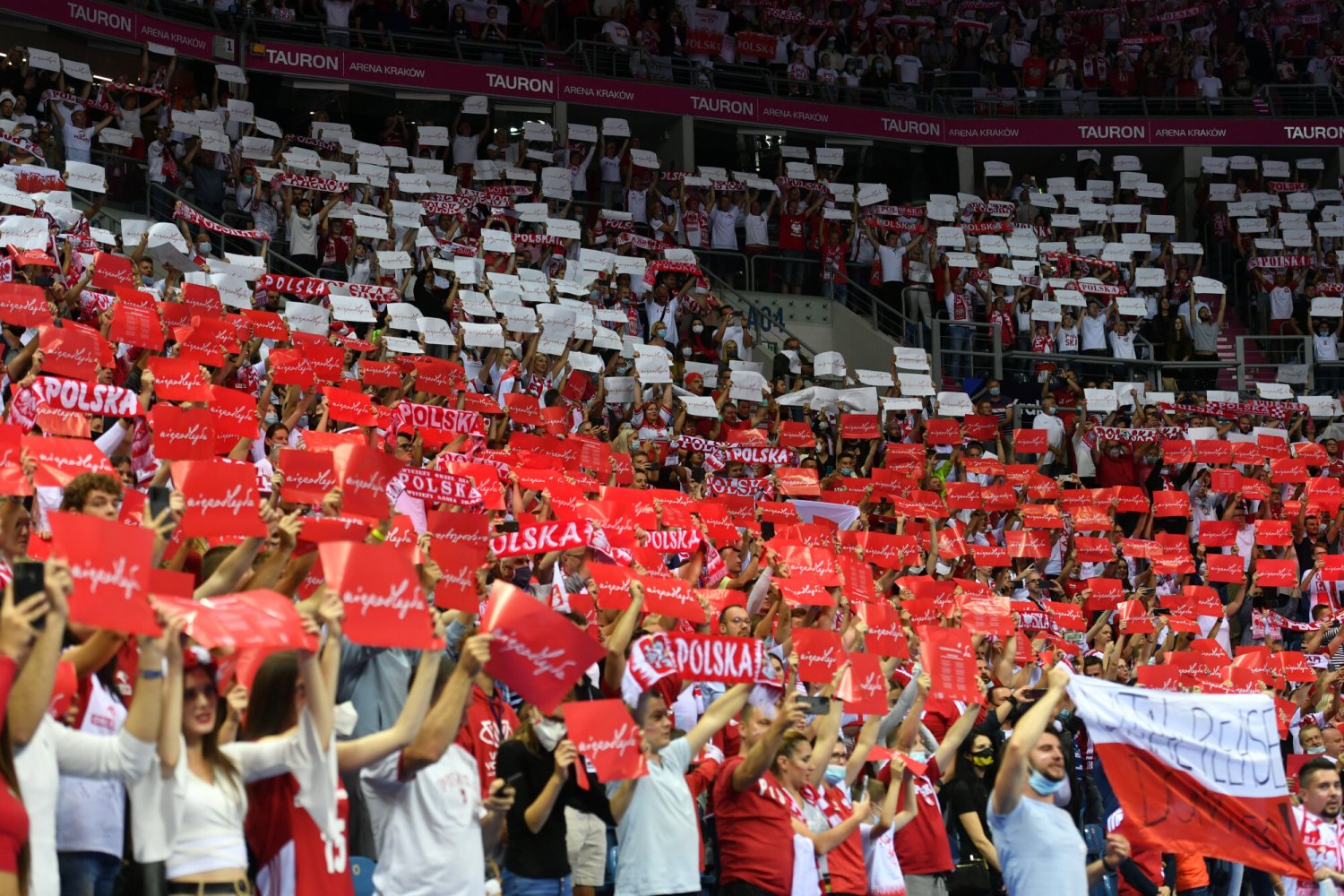 Polscy kibice to sekret sukcesów siatkarzy, ich wsparcie dodaje naszej drużynie skrzydeł.