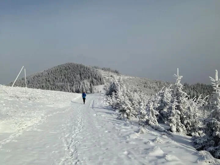 Prawdziwa radość biegania